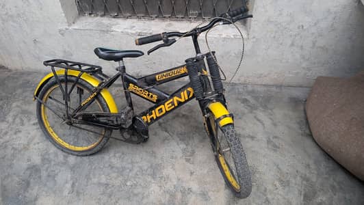 Phonenix Cycle for Sale in cheap price