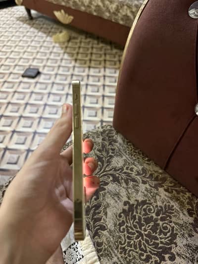 Apple iPhone 12 Pro