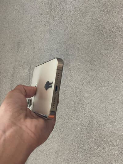 Iphone 12 pro max PTA Approved
