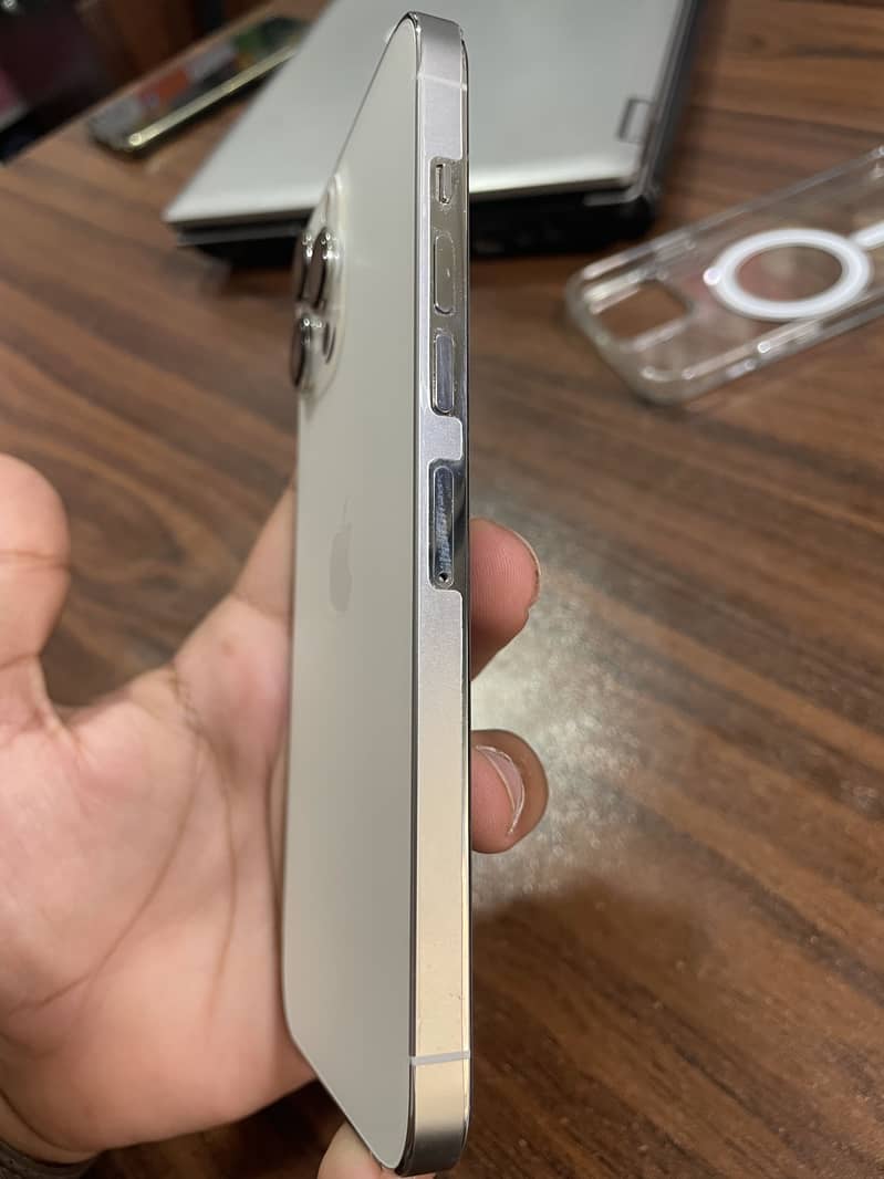 Apple iPhone 13 Pro Max 2