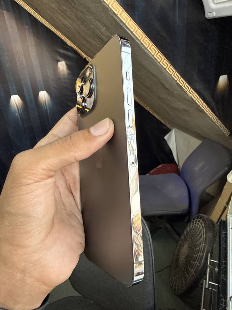 Apple iPhone 13 Pro Max 2