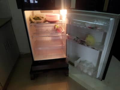 PEL Glass Door Refrigerator (Black) – Mint Condition & Perfect Cooling