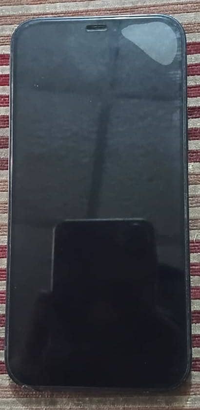 iPhone 12 1