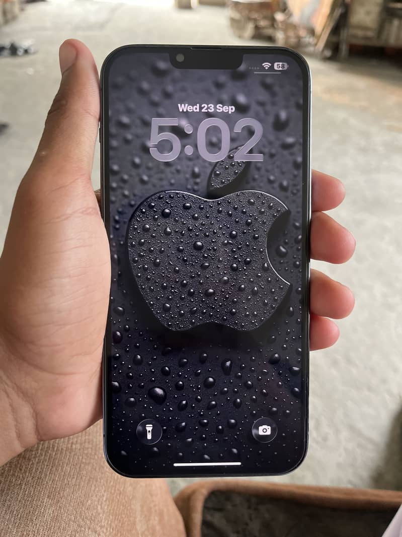 Apple iPhone 13 Pro Max 1