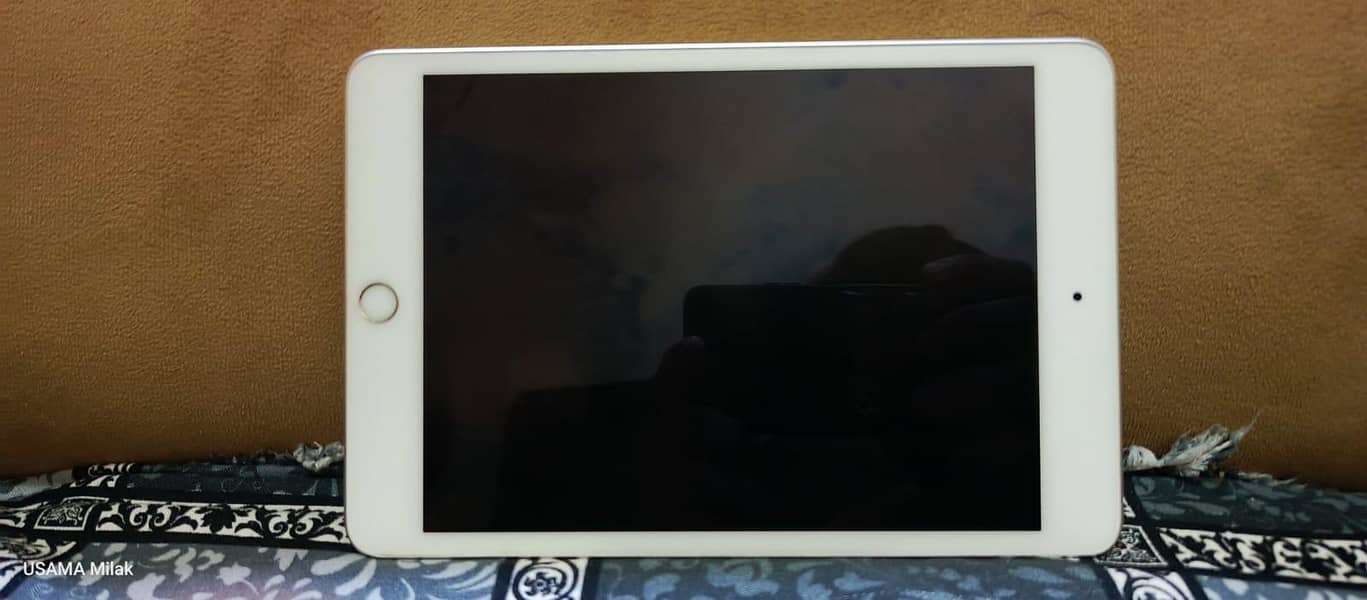 ipad mini 5 7