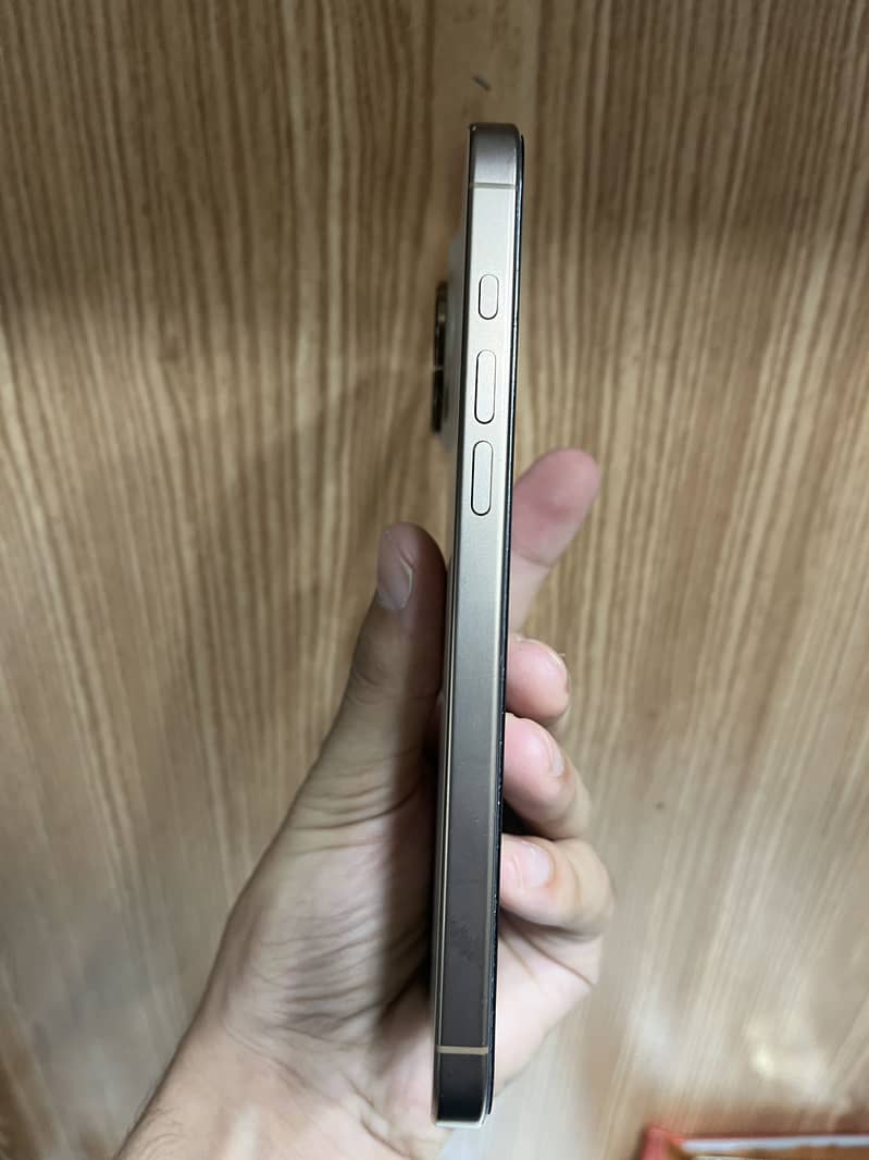 Apple iPhone 16 Pro Max 1