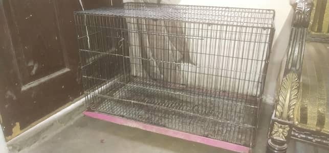 2.5 feet by 1.5 feet neat cage 03264434014 contact number