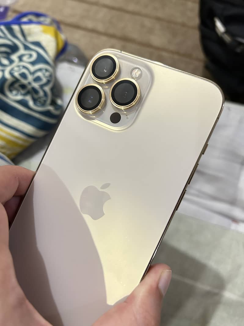 Apple iPhone 13 Pro Max 1