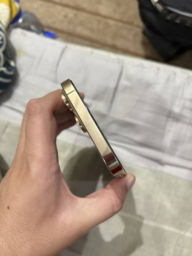 Apple iPhone 13 Pro Max 2