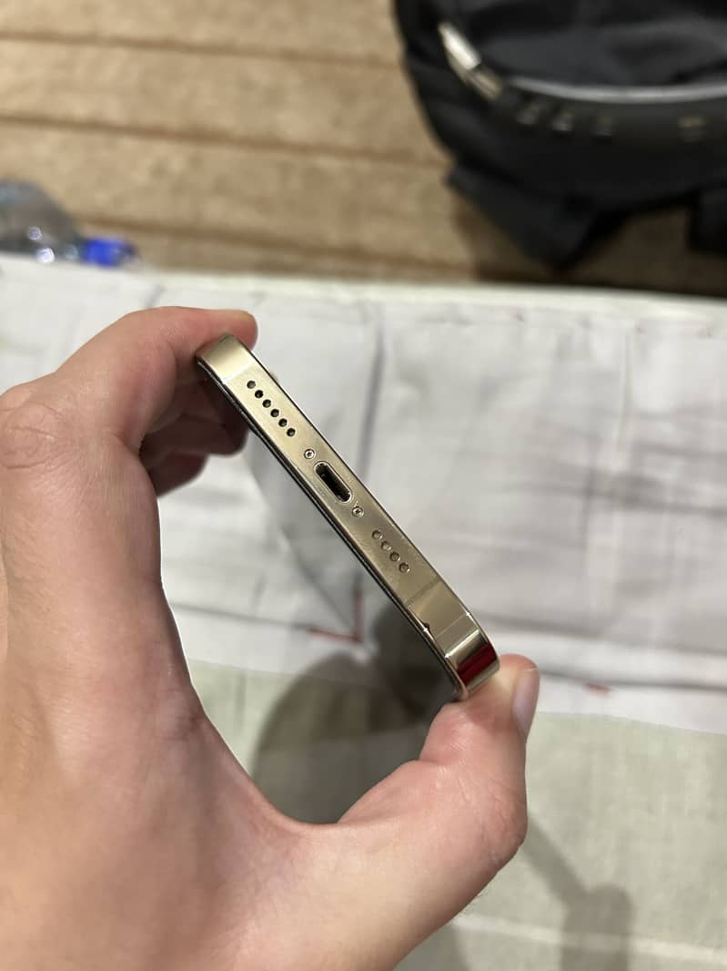 Apple iPhone 13 Pro Max 3