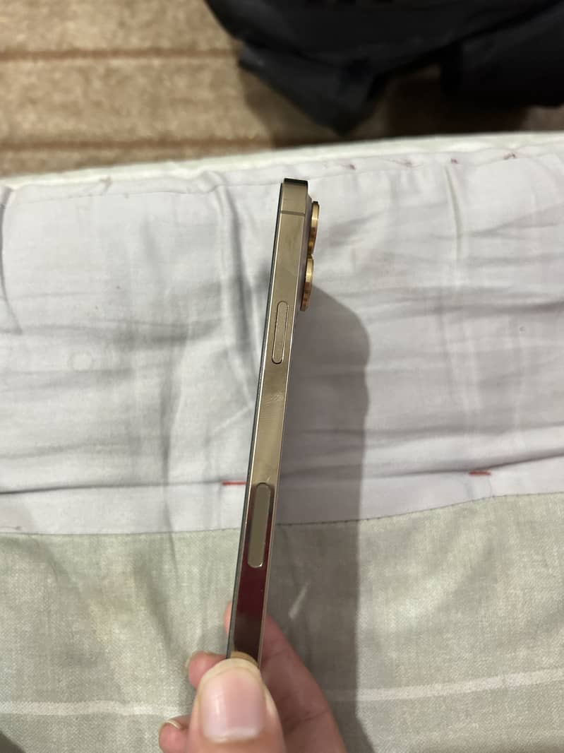 Apple iPhone 13 Pro Max 4