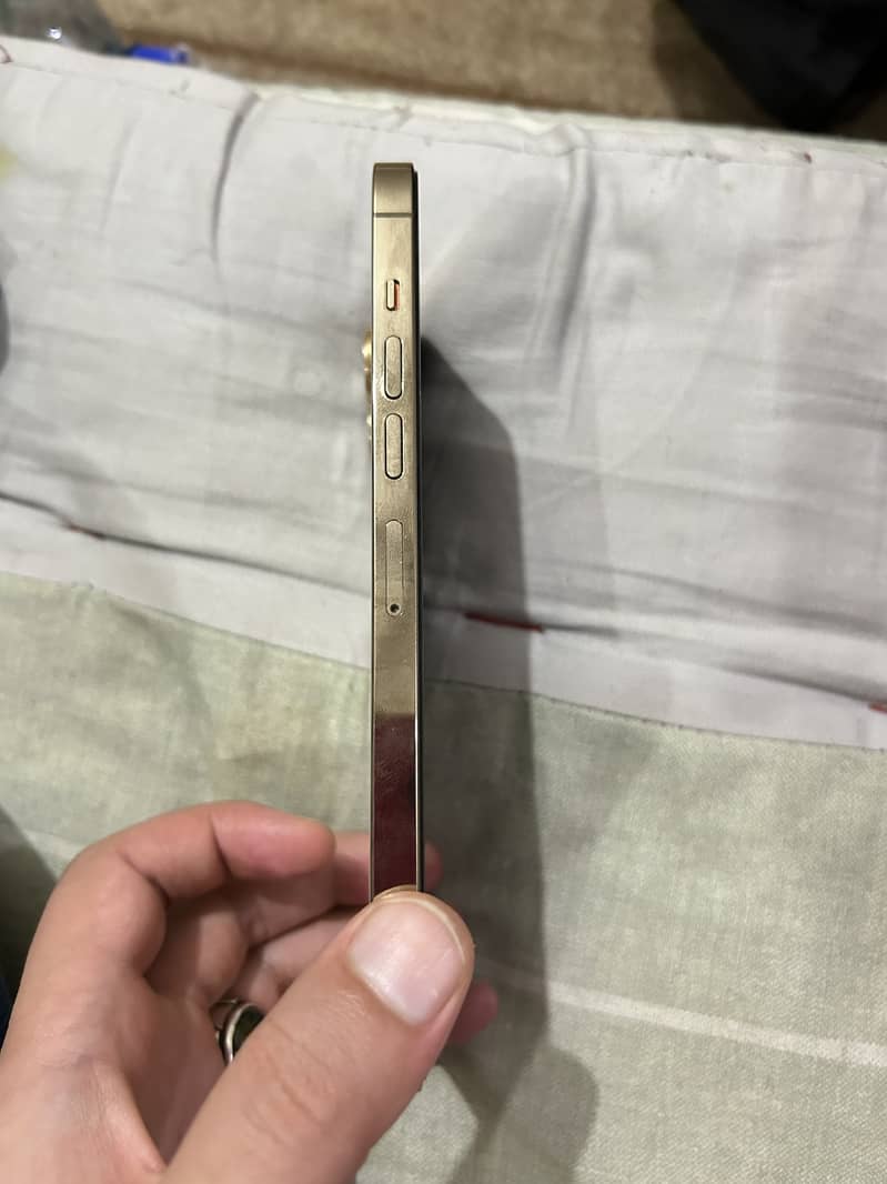 Apple iPhone 13 Pro Max 5