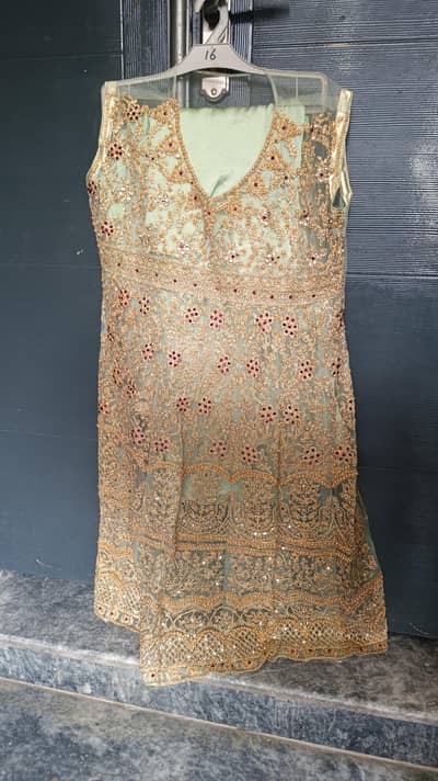 Used Net Embroidery Frock Pistachio Color