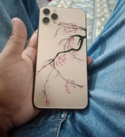 Apple iPhone 11 Pro Max
