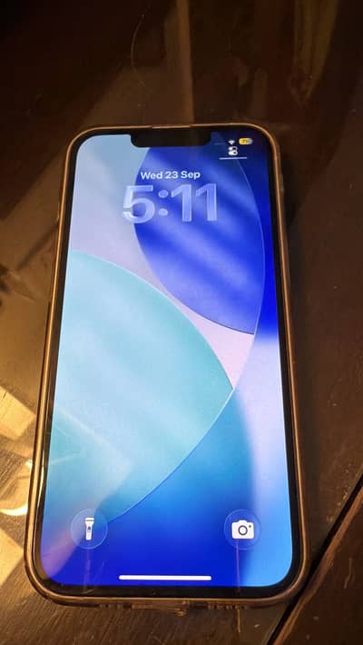 Apple iPhone 13