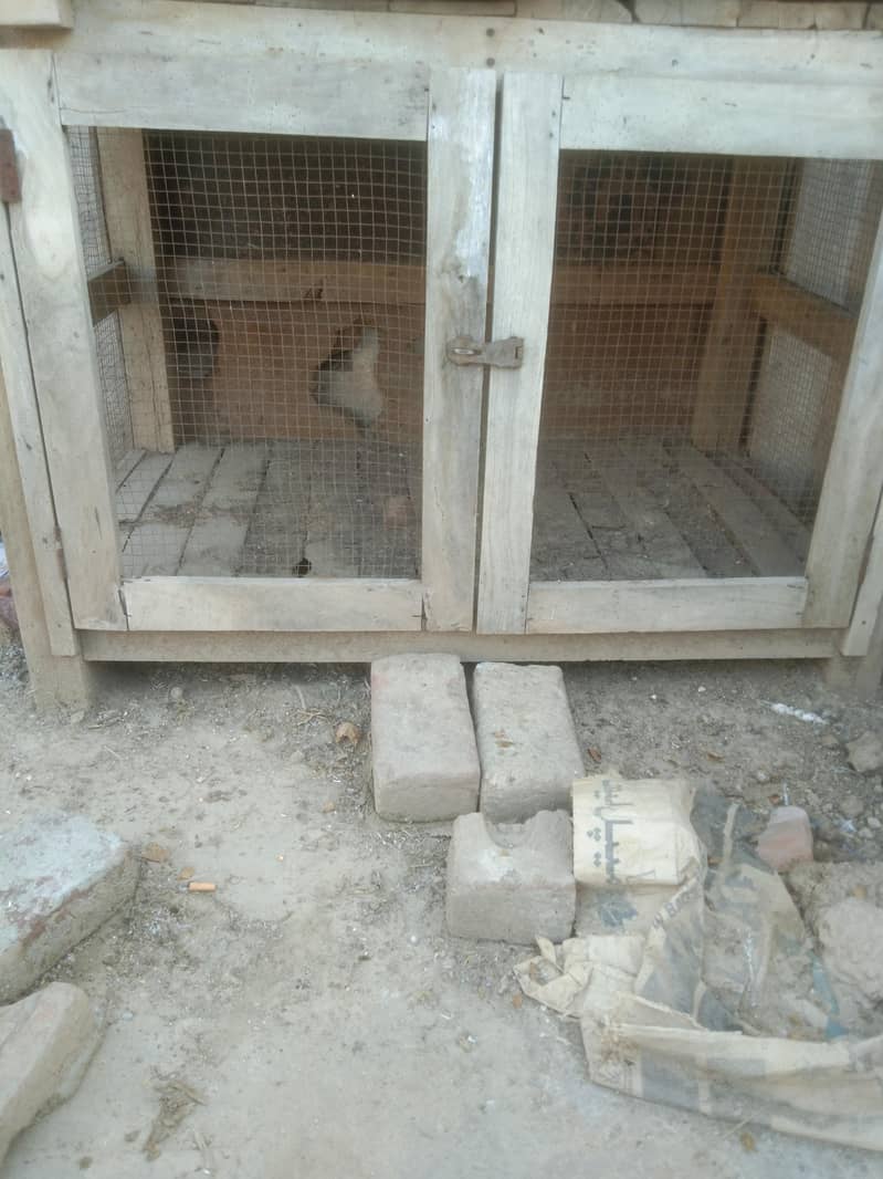han cage 1