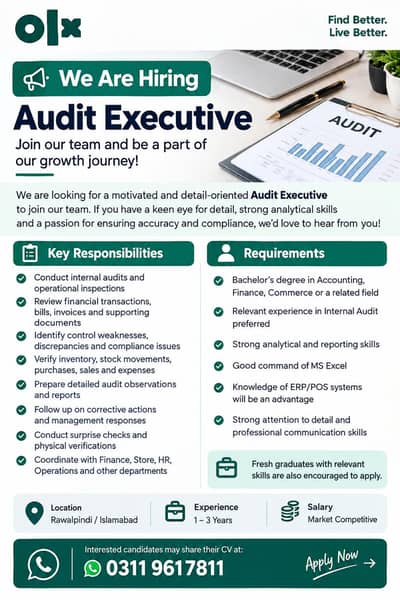audit executive required