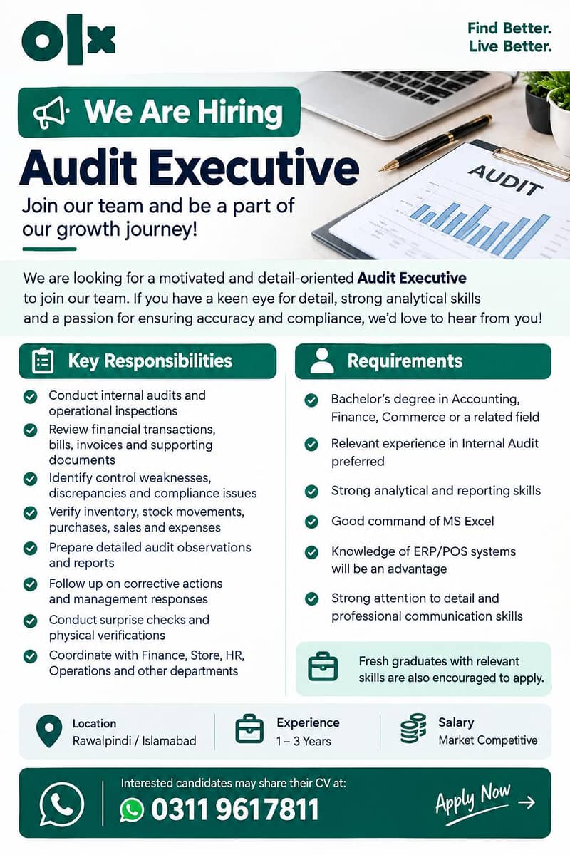 audit executive required 0