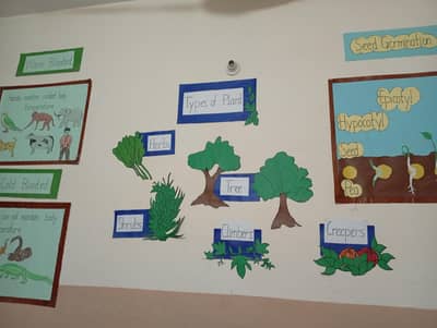 charts for school decorations