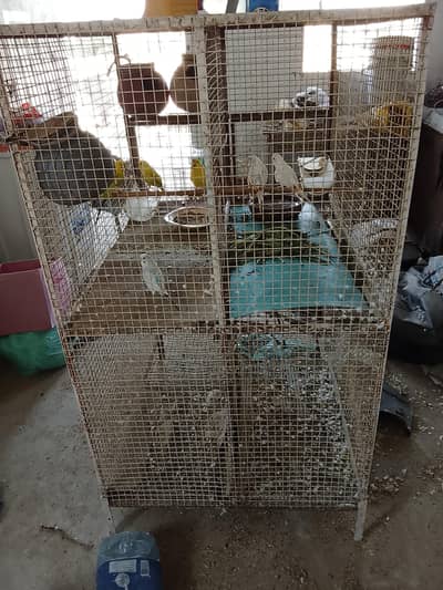 selling Cage With 3 Pairs
