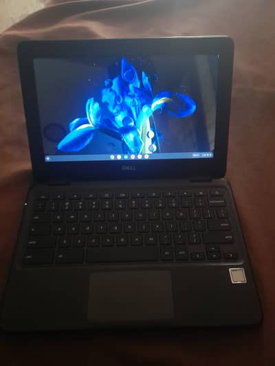 Chrome book 3100