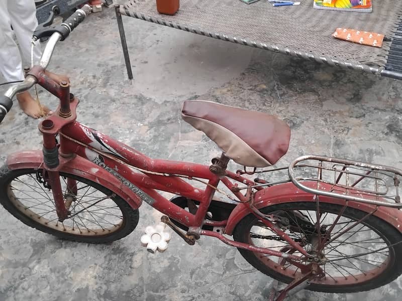cycle 20 inch5000 3