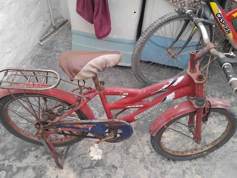 cycle 20 inch5000 5