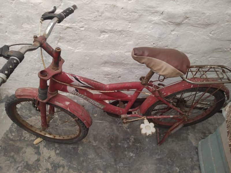 cycle 20 inch5000 8