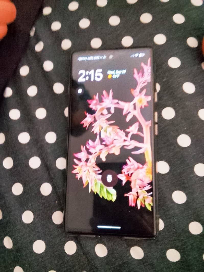 Google Pixel 6 0