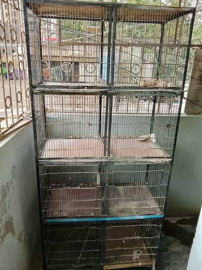8 portion cage for sale