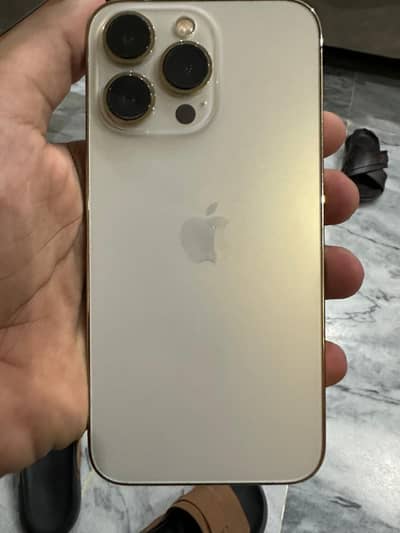 Apple iPhone 13 Pro