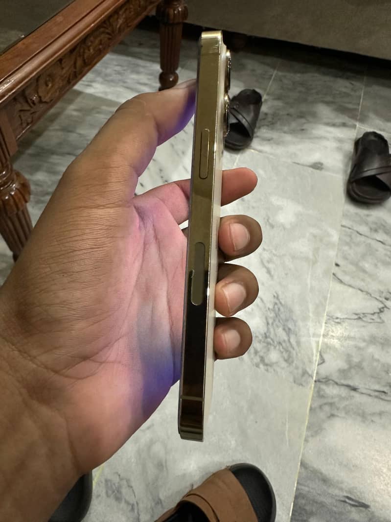 Apple iPhone 13 Pro 1