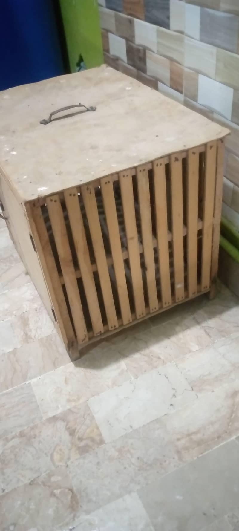 cat cage 0