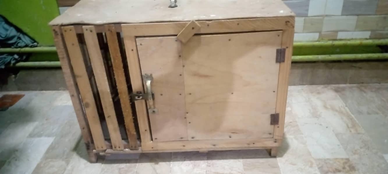cat cage 1