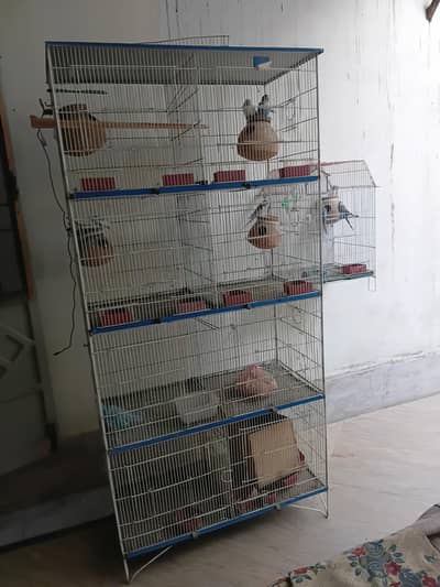 Parrot/Hen Cage
