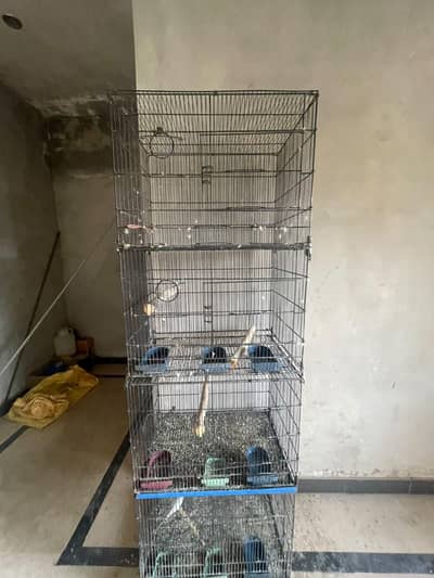 cage for parrot