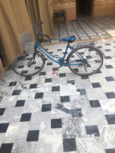 china cycle full ready condition