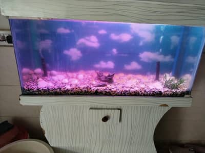 Aquarium 3ft by 1.5ft 6mm glass