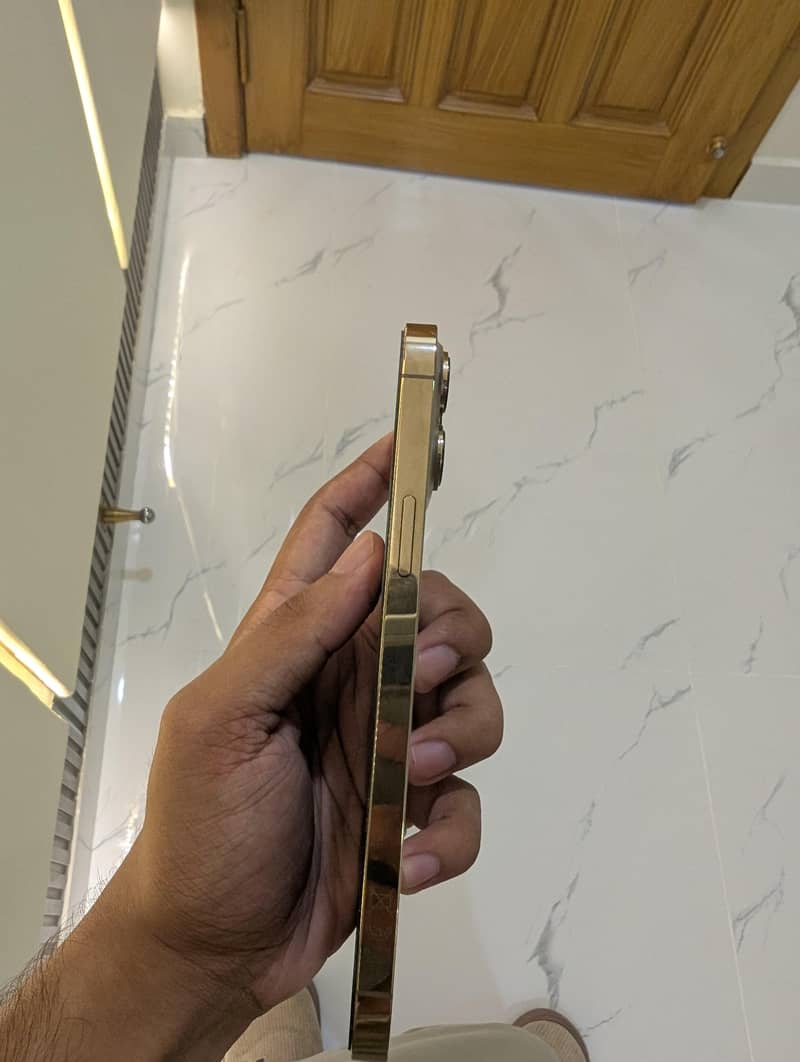 Apple iPhone 13 Pro Max 2