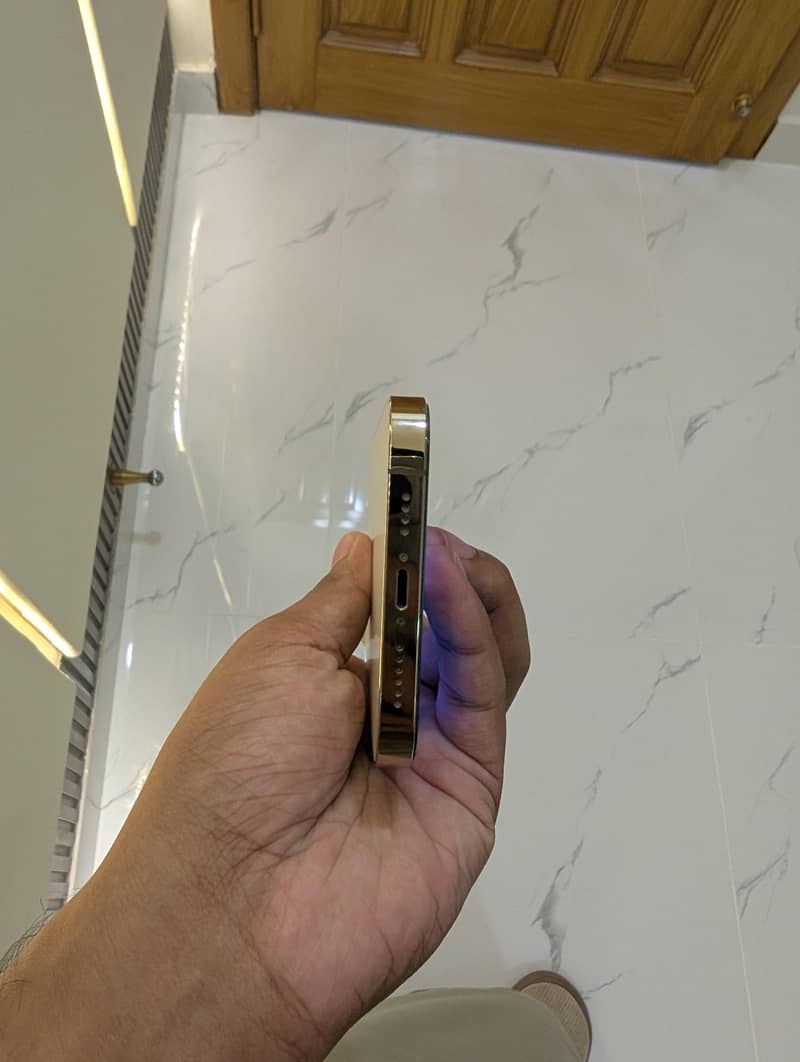 Apple iPhone 13 Pro Max 4