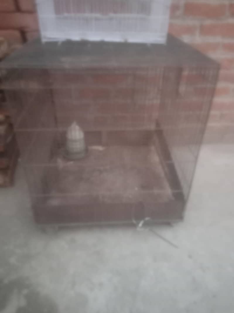 hen cage 0