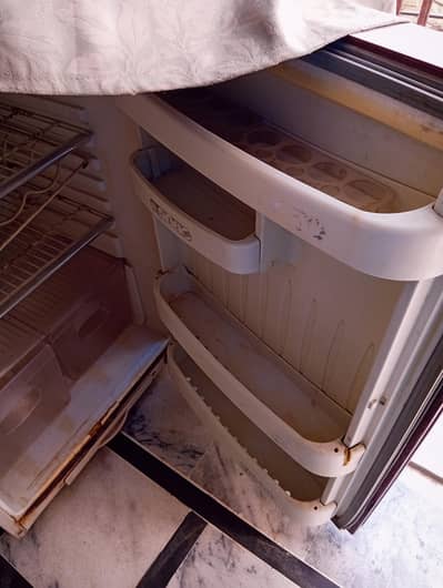 Orient Refrigerator (Double Glass Door) - Excellent Condition