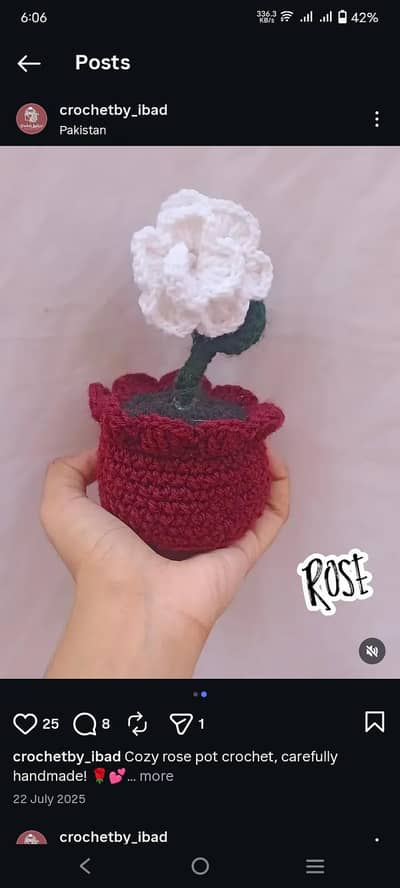 Pot for office and the house