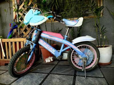 Morgan Kids Bicycle