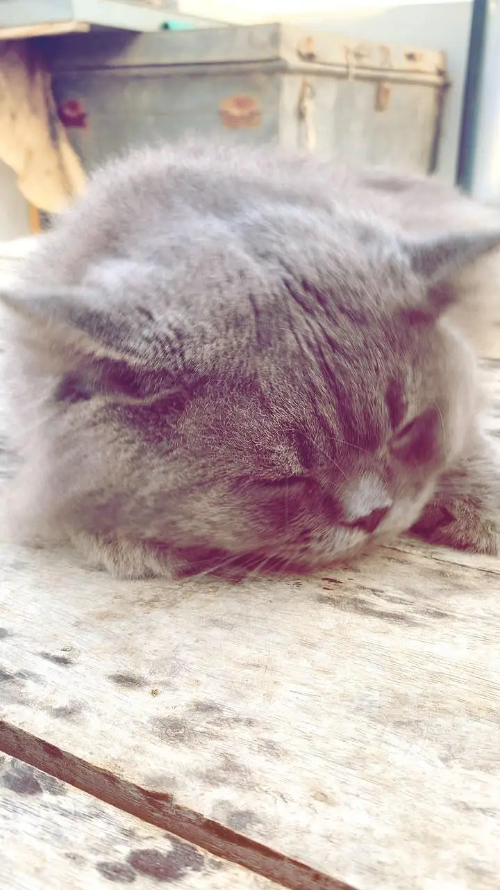 billi — photo 7