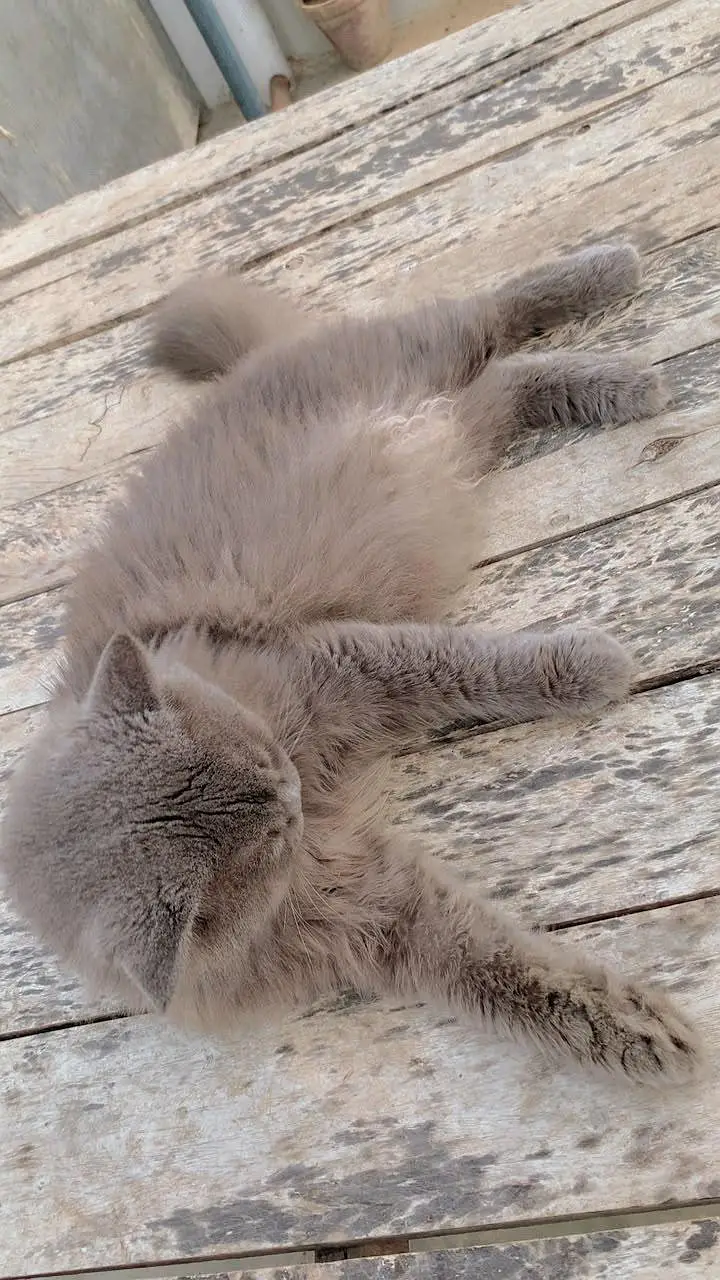 billi — photo 8