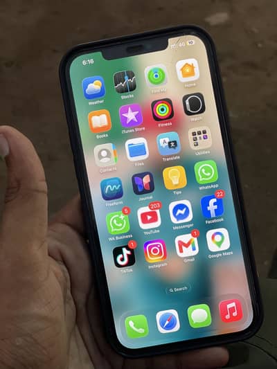 Apple iPhone 12 Pro Max