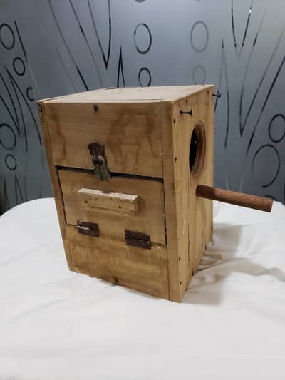Parrots breeding box