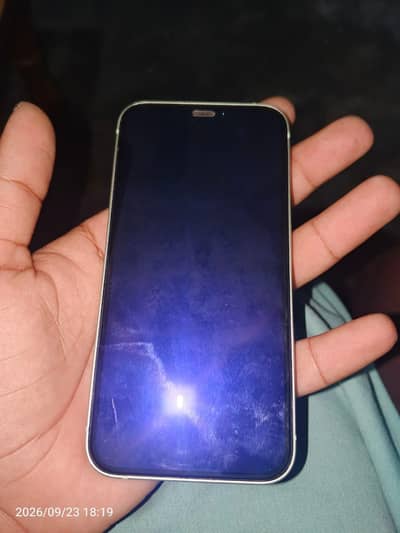 Apple iPhone 12 mini
