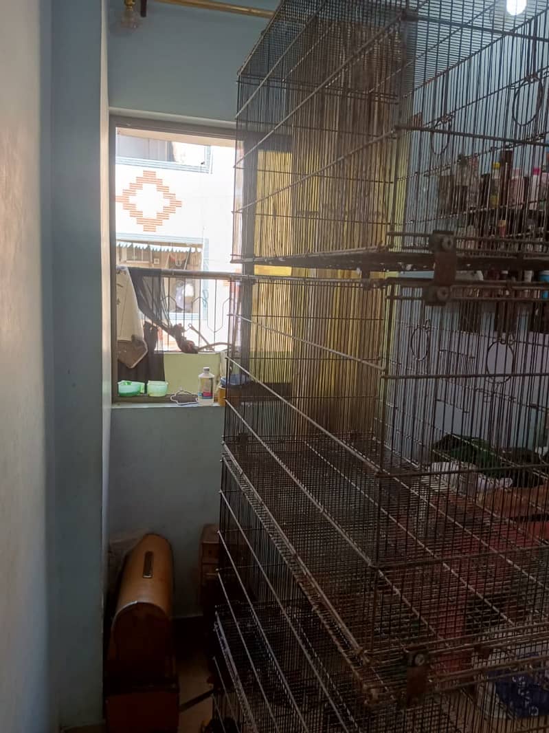 Cages 2